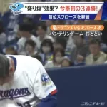 井上一樹の頭皮wwwwwwwwwwwwwwwwwww