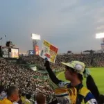 プロ野球でじわり進む「勝ち組」「負け組」の明暗…阪神は全試合完売の一方で動員が伸び悩む球団