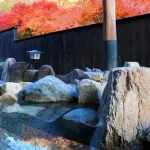 【悲報】お前らってスーパー銭湯とか行くの？ｗｗｗｗｗｗｗｗｗｗ