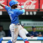ありがとうカストロ！日本ハム連敗ストップ！細野8回途中1安打1失点好投！