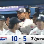 【悲報】ヤクルトスワローズ（17勝9敗）が首位の理由、誰にもわからない