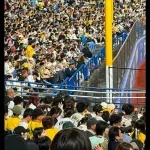 【悲報】阪神ファン、ホームランを打たれた腹いせにグラウンドに投げ返し警備員に退場させれる