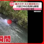 【衝撃】ブラジルのガキさん、池に飛び込むためにガチで命をかけてしまうwwwwwwwwww