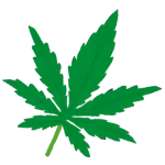 いや、大麻は酒よりも有害性が低いと科学的に確定したんだから合法にしろよクズ、国民の薬物を使用する権利を侵害するなよ