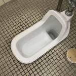 【悲報】今の高校生さん、和式でうんこが出来ずに洋式トイレに大行列を作ってしまうｗｗｗｗｗｗｗｗｗｗ