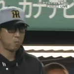 昨日のヤクルトvs阪神の乱闘未遂、木澤のオラつき投法wwww