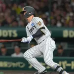 打者転向した西純矢さん、ヤバそうｗｗｗｗｗｗｗｗｗｗｗｗｗｗｗ