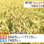 【悲報】米問屋「米が売れないから値下げしないと次の仕入れができない！」