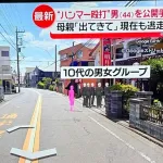 【朗報】ハンマー男、騒音をまき散らす珍走団をやっつけようとした正義の味方だと判明して風向きが変わるｗｗｗ
