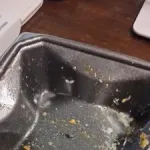 【爆笑】トライアルのロースかつ重（277円）が美味すぎた結果ｗｗｗｗｗｗｗｗｗｗ