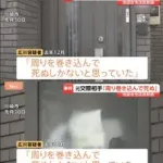 【悲報】ポケモンセンター池袋さん、海自内定者に閉店に追い込まれたままGWを迎えてしまう・・・・・・・・・