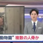 【悲報】旭山動物園さん、焼却炉から複数の人骨が見つかってしまう・・・・・・・・・