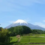 【悲報】独身おっさんさんのGW、ガチで悲惨すぎるｗｗｗｗｗｗｗｗｗｗ