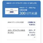 【悲報】ANAさん「年間300万使ってくれなきゃラウンジ使わせません」ｗｗｗｗｗｗｗｗｗｗ