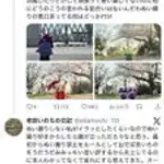 【悲報】ぬい活民さん、おしゃれなイギリス酒場に「ぬいぐるみ撮影禁止」と言われブチギレてしまうwwwwwwwwww