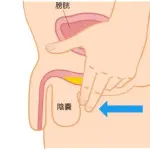【悲報】小便終えてパンツの中に引っ込めたら途端に再排出が始まる奴ｗｗｗｗｗｗｗｗｗｗ
