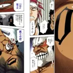 【衝撃】十刃、実は10から1ではなく9から0だった模様