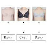 【悲報】男さんが思うAカップはCカップで、Cカップだと思ってるのはFカップだった件ｗｗｗｗｗｗｗｗｗｗ
