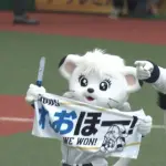 【？報】西武のレオさん、ライナへの愛が重すぎる