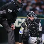 NPB、危険スイングに「退場」検討