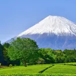 【悲報】静岡県さん、富士山がなければガチで何もない県ｗｗｗｗｗｗｗｗｗｗ