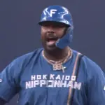 【日本ハム】レイエス、逆転のタイムリーを放つ｜オリックス戦｜打った瞬間の反応まとめ｜5/8