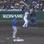 【阪神対DeNA7回戦】DeNAが阪神に逆転勝ちで今季最多タイ貯金1！3カードぶり勝ち越し 8回大竹から蝦名が同点打、度会がV打 篠木6回1失点 山﨑9S