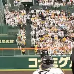 阪神タイガース　三振数エグい　17三振→16三振