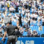 東京六大学野球審判団、ヘルメットにオスナに殴打された審判員の背番号「２９」を刻む