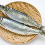 事実ニシンという魚、皆さんも食べたことないと思います