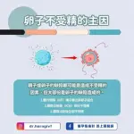 【悲報】卵子さん、精子の4000倍も劣化が早かったｗｗｗｗｗｗｗｗｗｗ
