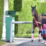 【NHKマイルカップ】 バルセシート来そうすぎてやばいな