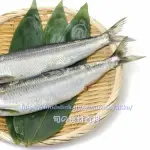 【悲報】ニシンとかいう魚、ガチで誰も食べたことがないｗｗｗｗｗｗｗｗｗｗ