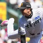 才木浩人 (2026)防御率3.29 4勝1敗 投球回31 奪三振率12.51