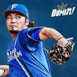 【予告先発】伊藤大海｜5月12日 ロッテ戦｜18:00開始
