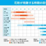 【悲報】未だにマスクしてる奴さん、ガチの正体がヤバすぎるwwwwwwwwww