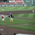 チアダンス中映ってないとすぐサボるドアラ&つば九郎がまだ面白い
