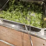 【悲報】ラーメンのトッピング乗せ放題の店があったらめっちゃ流行りそうじゃね？ｗｗｗｗｗｗｗｗｗｗ