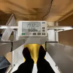 【悲報】痩せたいデブさん、痩せかた教えたるｗｗｗｗｗｗｗｗｗｗ