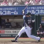 【西武】林安可(2年6億) 打率.213(108-23) 2本 10打点 出塁率.274 OPS.625 WAR-0.1