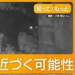 【悲報】クマサン、都内住宅街に現れる