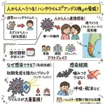【衝撃】ハンタウイルスさん、台湾で感染確認　致死率30%重症化率90%のガチでヤバいやつだった・・・・・・・・・