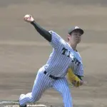 阪神の秘密兵器ドラ1下村、ライブBPで打者10人に5奪三振無四球ｗｗｗｗｗｗｗｗｗｗｗｗｗｗｗｗｗｗｗｗ