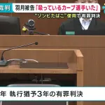 元カープ羽月隆太郎被告（26歳、拘禁刑1年、執行猶予3年）←3年間はNPB復帰できないってこと？