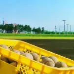 野球詳しくないけど、野球に体力必要なくね？