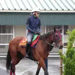 【ヴィクトリアＭ】 エンブロイダリーが2倍ついてるのやばいだろ　普通1.6倍くらいじゃね