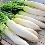 大根「うまいです。腹持ちします。安いです。」←こいつの欠点
