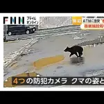 【速報】クマさん🐻、やりたい放題　ついにATMをぶっ壊す