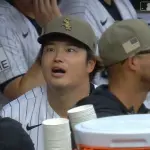 【悲報】村上宗隆さん、ネコだったｗｗｗｗｗｗｗｗｗｗｗｗｗｗｗｗｗｗｗｗ