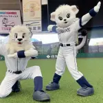 西武ファン、もう優勝する気でビールかけの話とかしてる